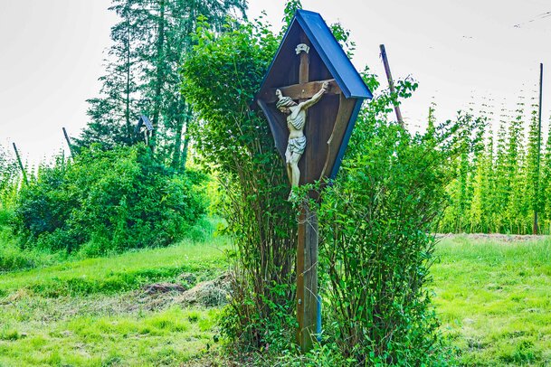 Thumbnail: 16_JA12101 Huber, Hopfengarten.jpg